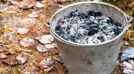 Чи можна використовувати попіл як добриво?