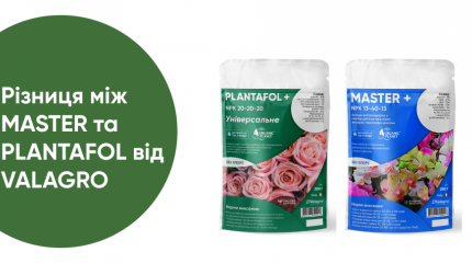 Різниця між МASTER та PLANTAFOL від Valagro