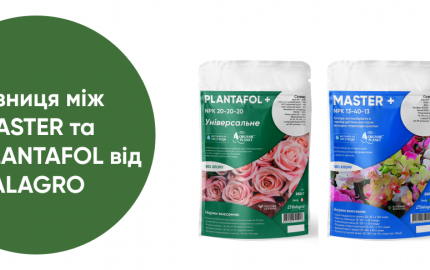 Разница между MASTER и PLANTAFOL от Valagro.