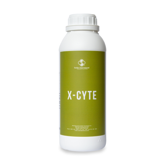 X-Cyte (Икс-сайт), Стимулятор цветения, 1 л