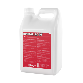 Kendal Root (Кендал Рут), біостимулятор, антистрес для кореня, 10 л, Valagro Kendal Root (Кендал Рут), біостимулятор, антистрес для кореня, 10 л, Valagro