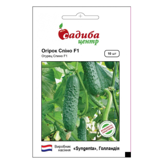 Огірок Спіно F1 SG, 10 шт Огірок Спіно F1 SG, 10 шт