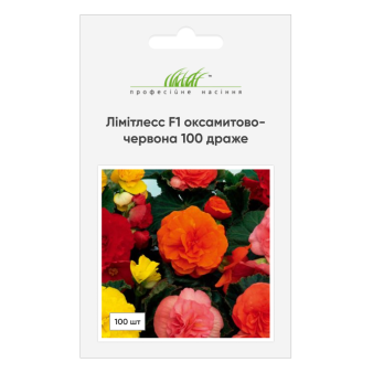 Бігонія бульбова (Лімітлес F1), оксамитово-червона, 100 драже, Syngenta Бігонія бульбова (Лімітлес F1), оксамитово-червона, 100 драже, Syngenta
