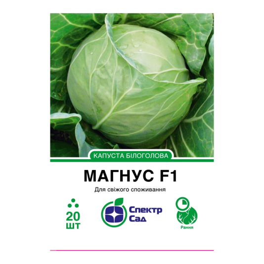 Білоголова капуста Магнус F1, 20 шт в уп., Hazera
