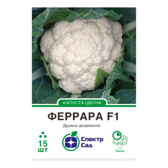 Цветная капуста Феррара F1, 15 шт в уп., Hazera