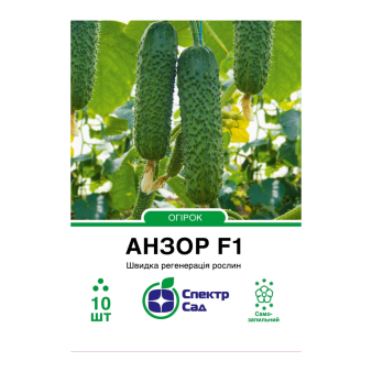 Огурец Анзор F1, 10 шт.уп., Bejo Огурец Анзор F1, 10 шт.уп., Bejo