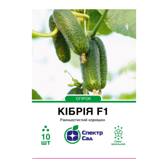 Огурец Кибрия F1, 10 шт.уп., Rijk Zwaan Огурец Кибрия F1, 10 шт.уп., Rijk Zwaan