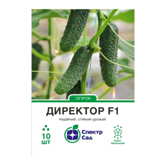 Огурец Директор F1, 10 шт.уп., Nunhems Огурец Директор F1, 10 шт.уп., Nunhems