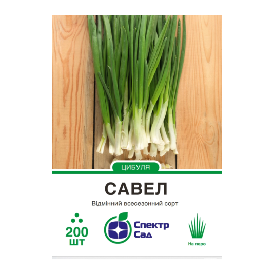 Цибуля на перо Савел F1, 200 шт в уп., Hazera