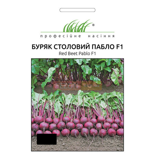 Буряк столовий Пабло F1 середньо-ранній круглий, 2 г