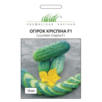 Огірок Кріспіна F1 самозапильний, 10 шт Огірок Кріспіна F1 самозапильний, 10 шт