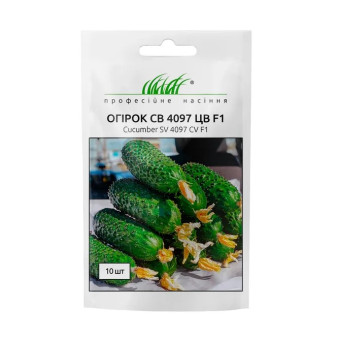 Огірок СВ 4097 ЦВ F1 самозапильний, 10 шт Огірок СВ 4097 ЦВ F1 самозапильний, 10 шт
