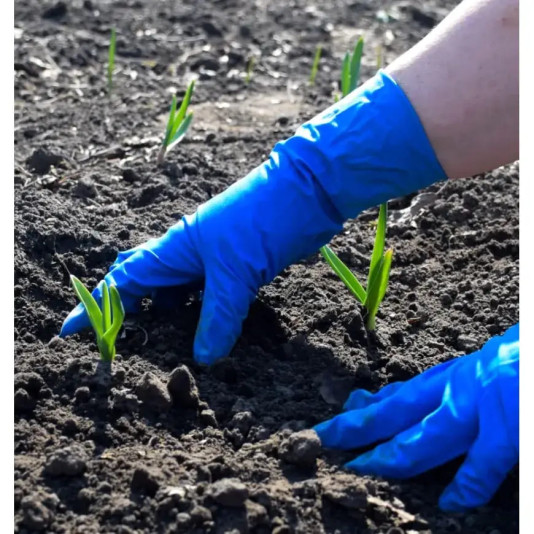 Рукавички латексні M, 1 пара Рукавички латексні M, 1 пара