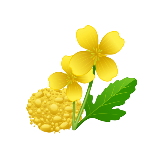 Для озимого і ярого ріпаку (гірчиця)