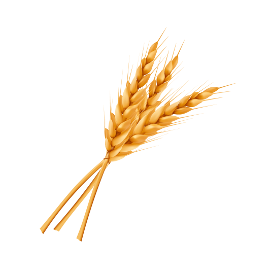 Для озимих і ярих колоскових культур