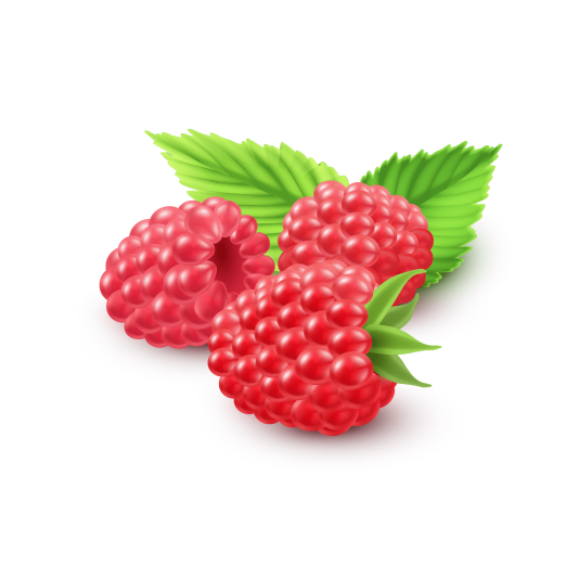 Для кущових (малина)