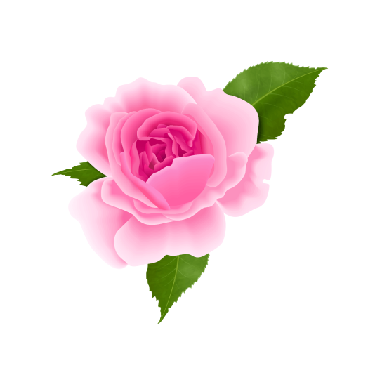 Для троянд та інших кущових квітів